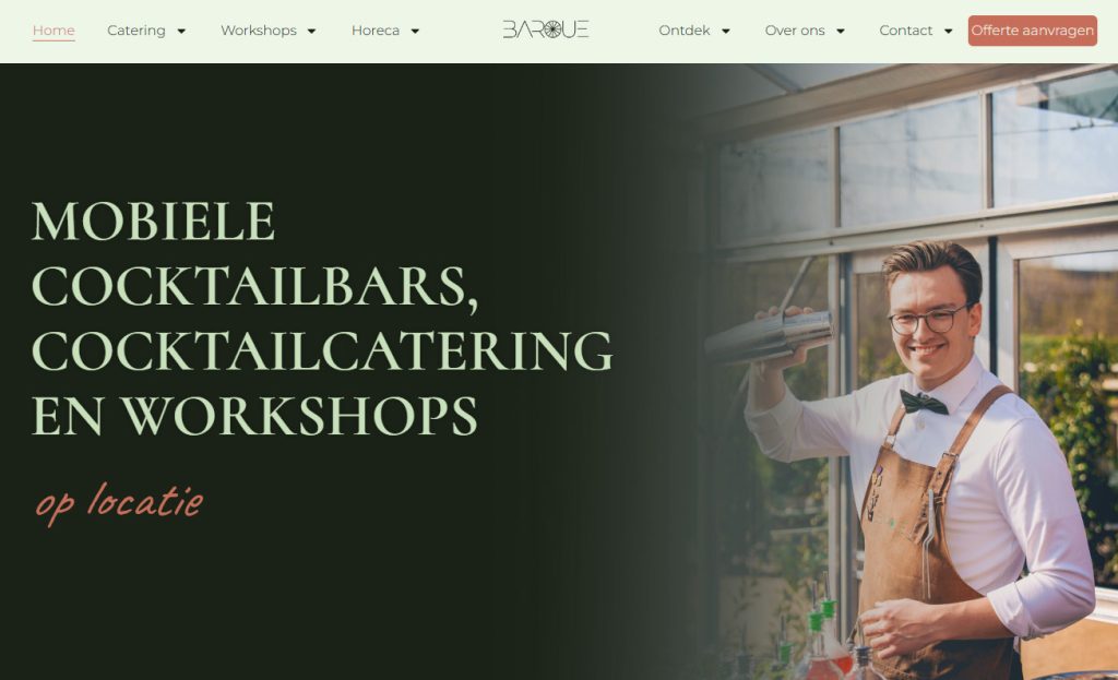 Website development
