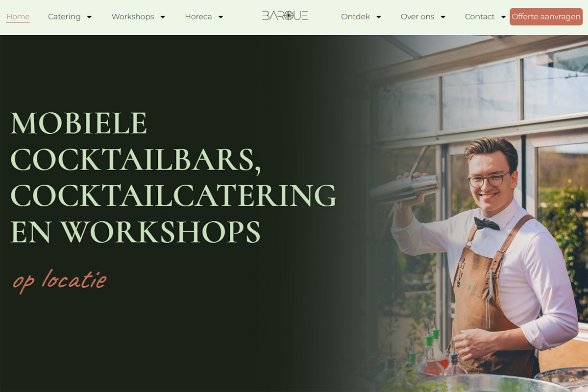 Website development baroue